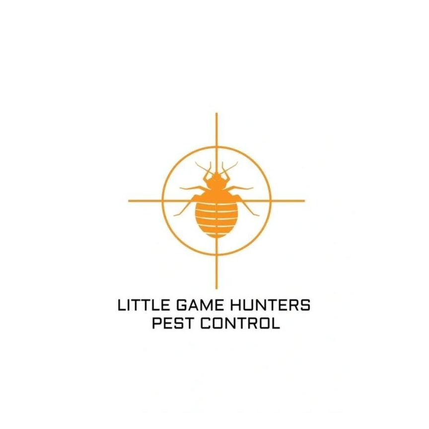 Little Game Hunters