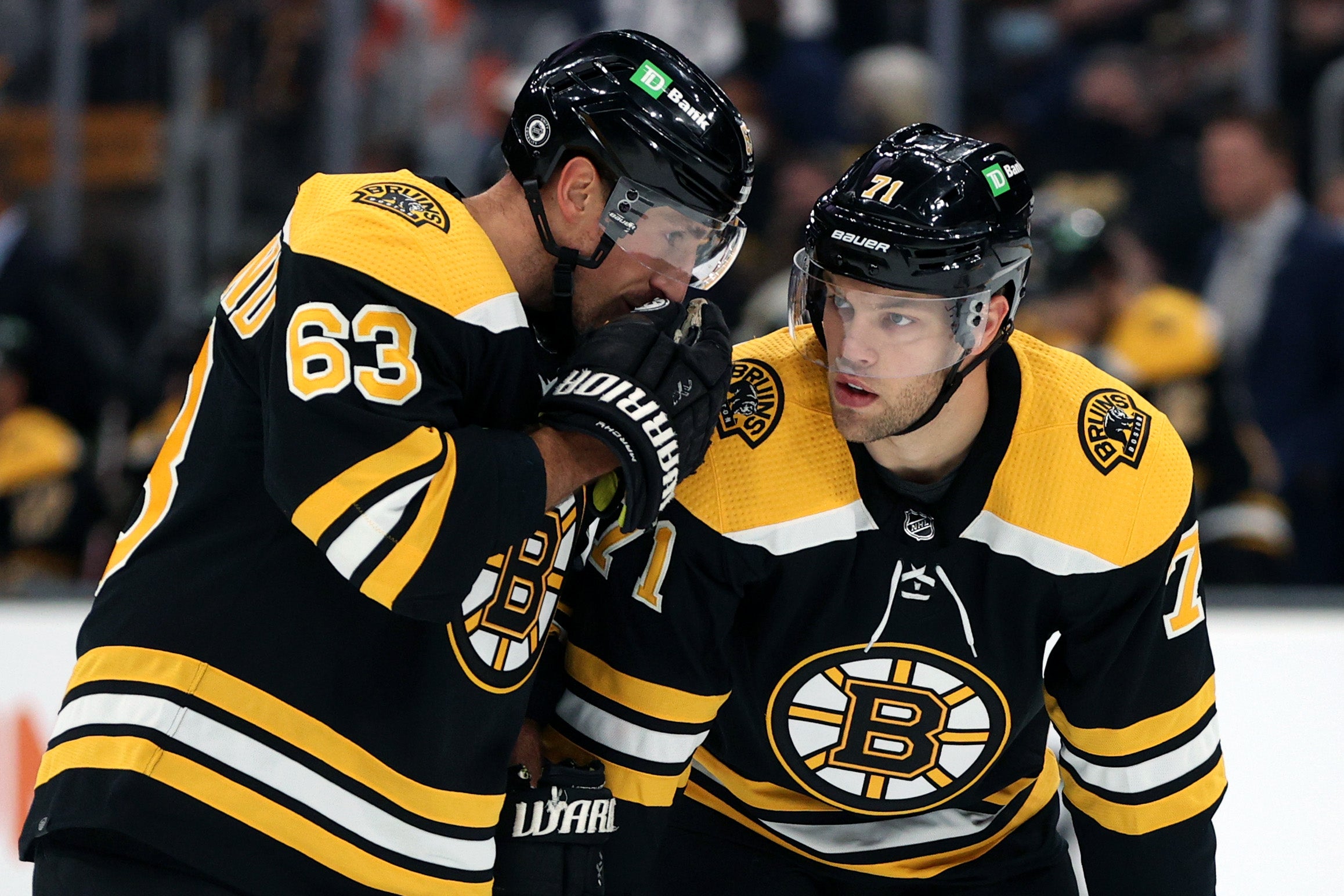Here's a look at the Bruins' likely openingnight roster Patabook News