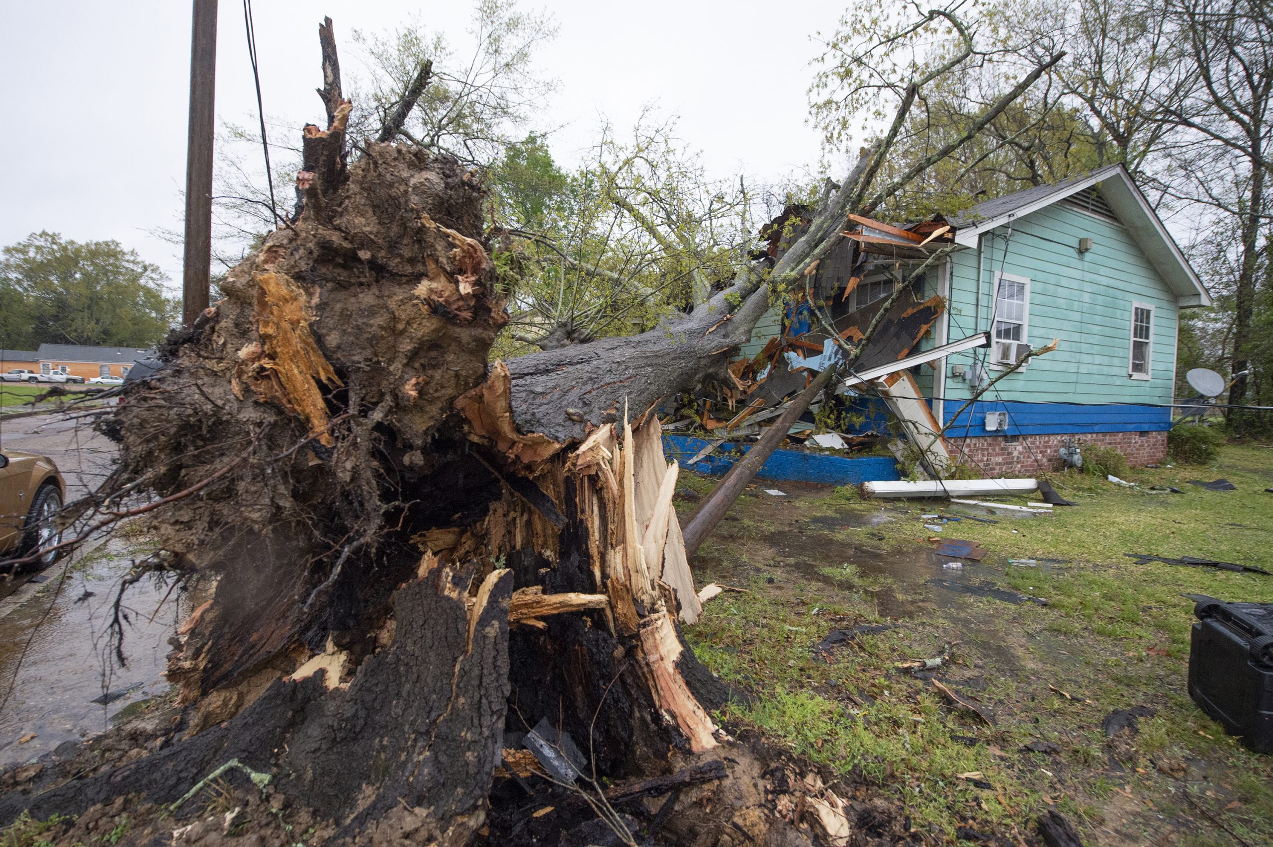 Tornado in Florida Panhandle Kills 2, Destroys Several Homes Patabook