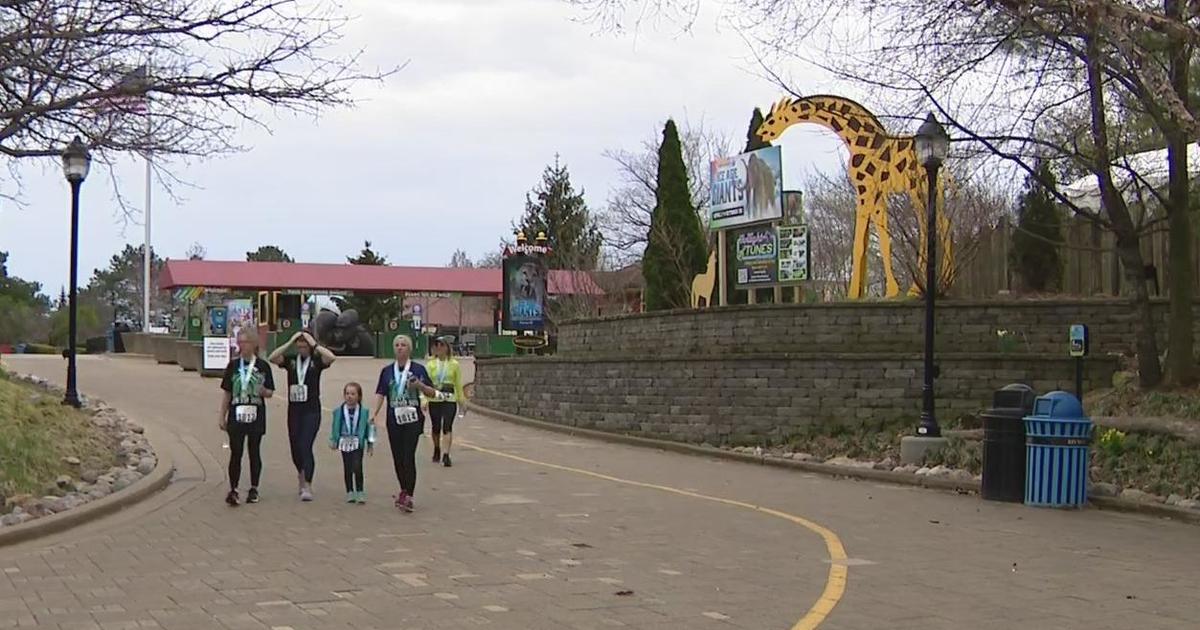 Brookfield Zoo hosts first ever 'Run for the Patabook News
