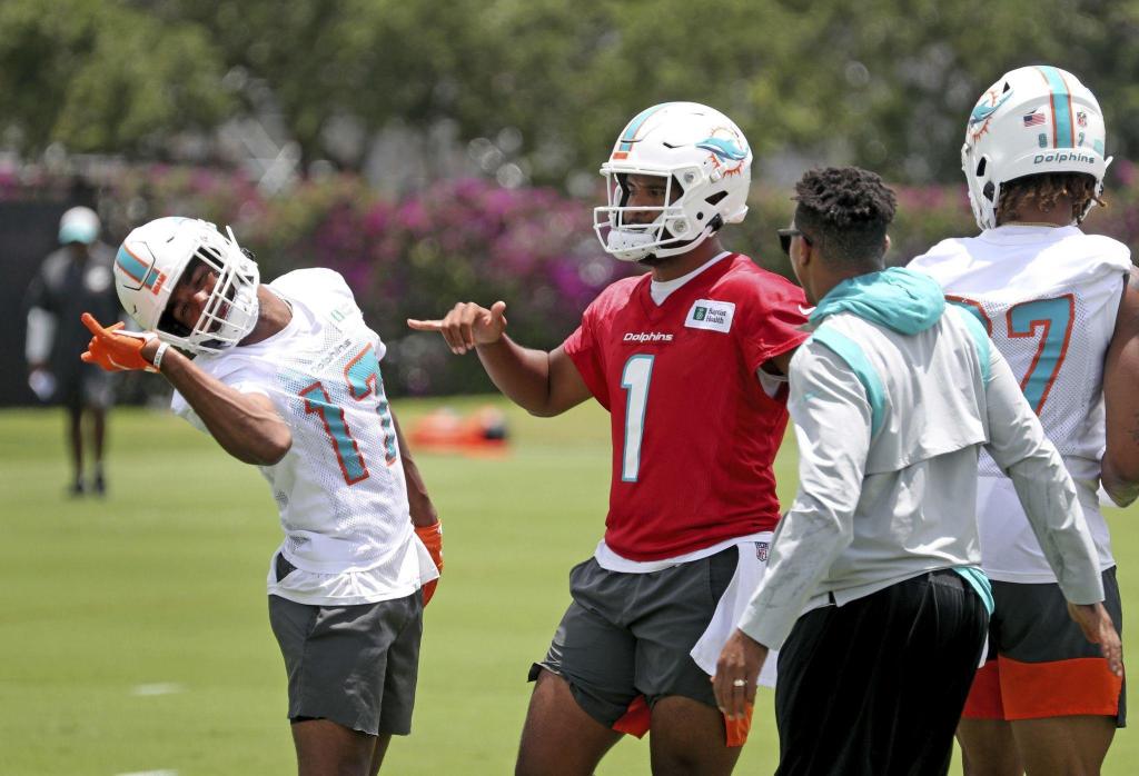Dolphins release training camp schedule of practices open to fans (with