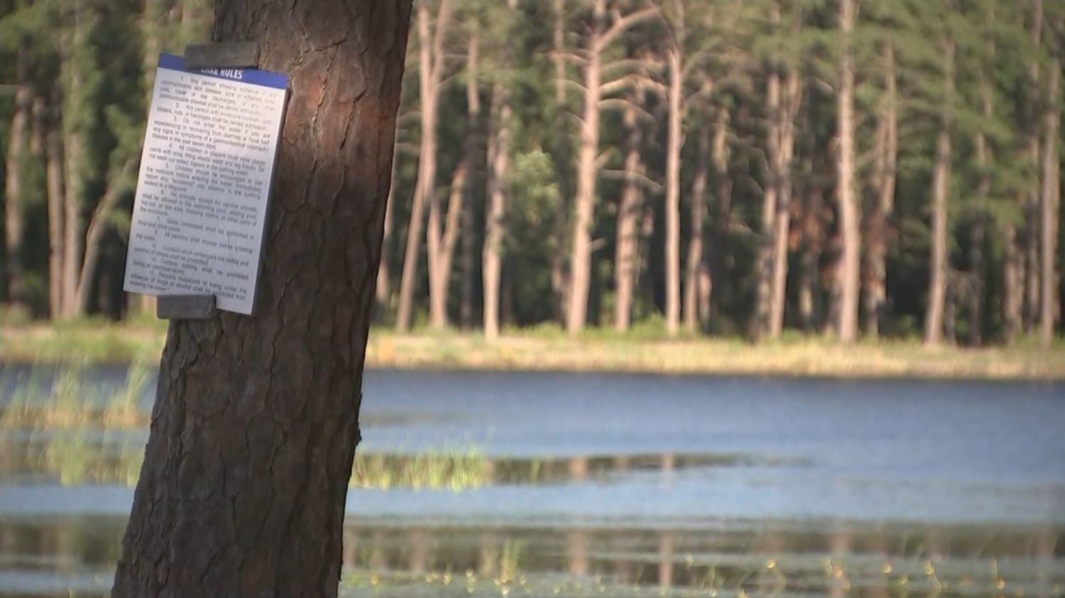 Paradise Lakes Campground Owner Recalls Wharton State Forest Wildfire