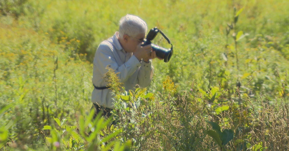 Massachusetts Audubon Society contest encourages photographers to
