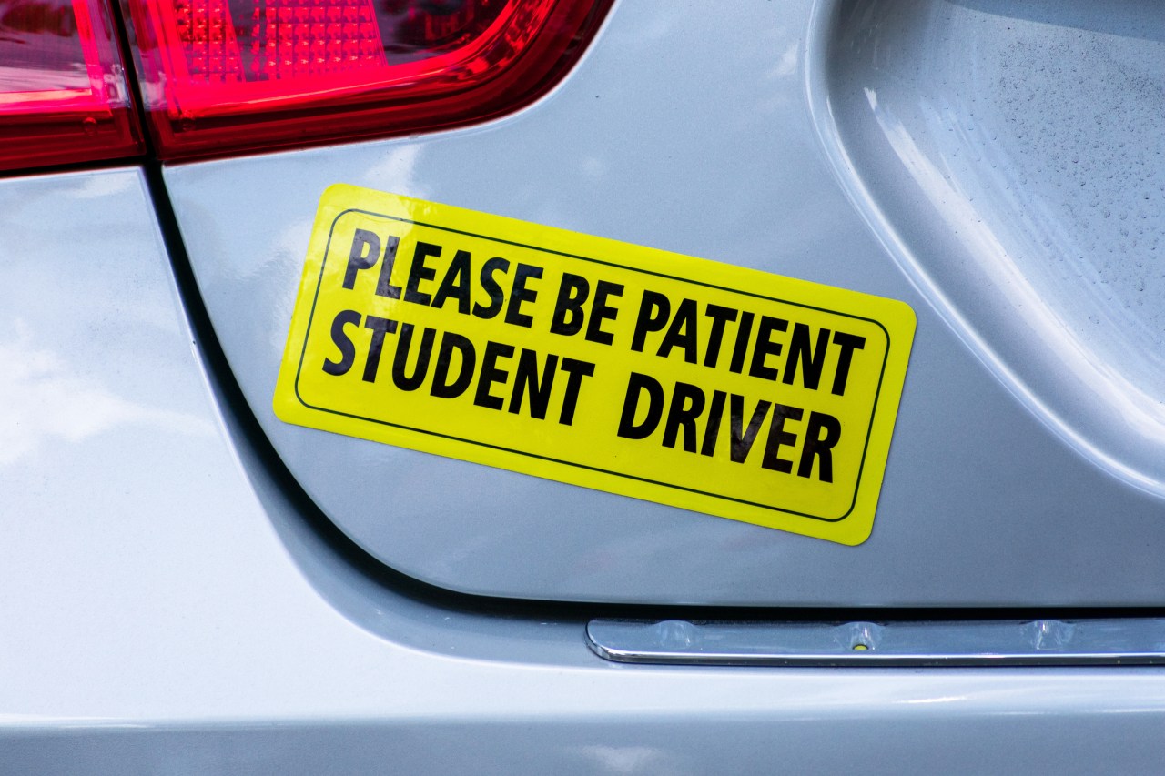 what-s-with-all-the-student-driver-stickers-patabook-news
