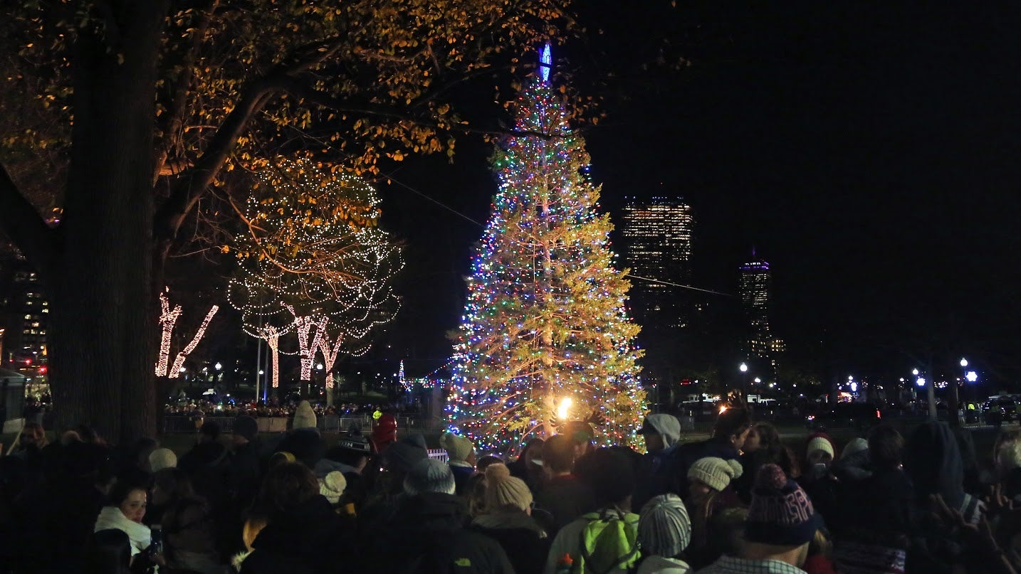 What to know about the Boston Common Christmas tree lighting Patabook