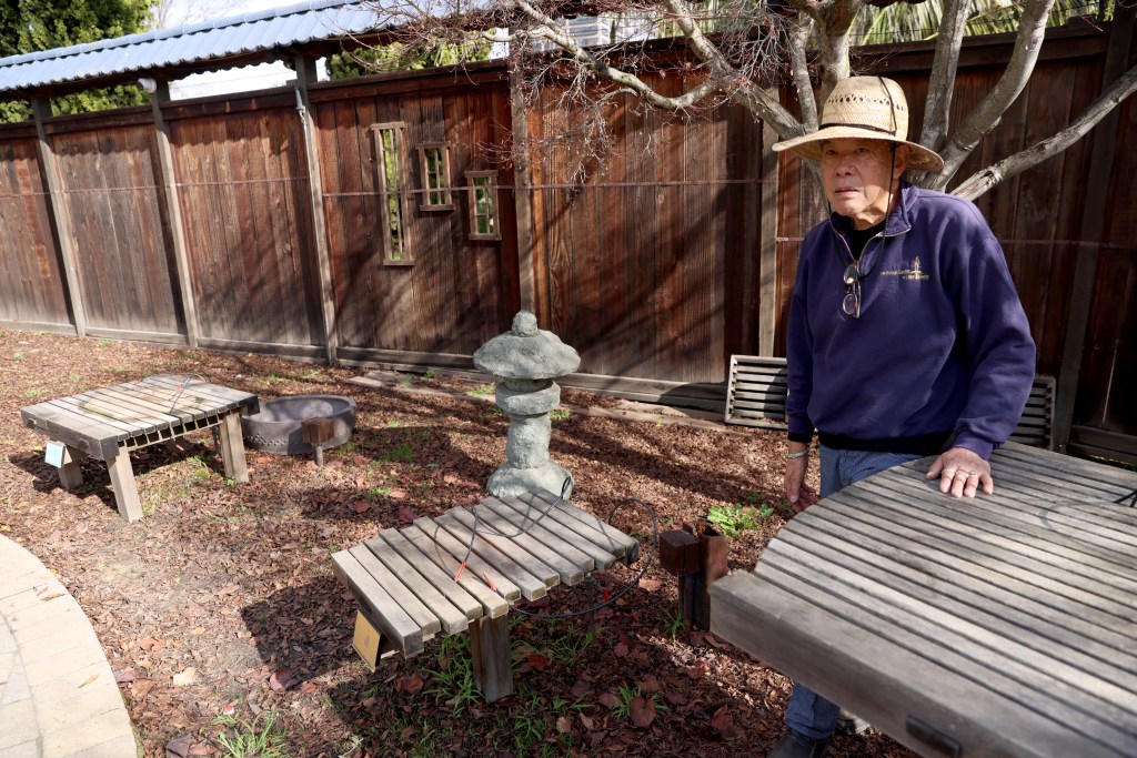 Bonsai trees stolen from Lake Merritt garden in Oakland - Patabook News
