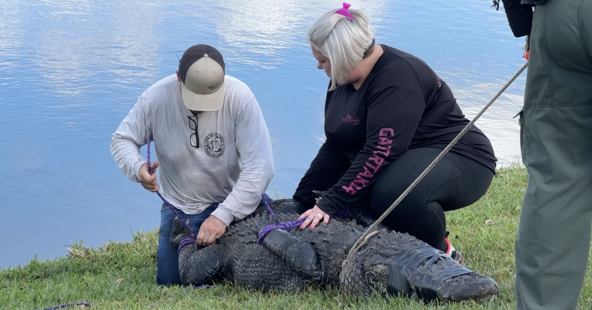 Family of elderly woman killed by alligator in Florida sues retirement