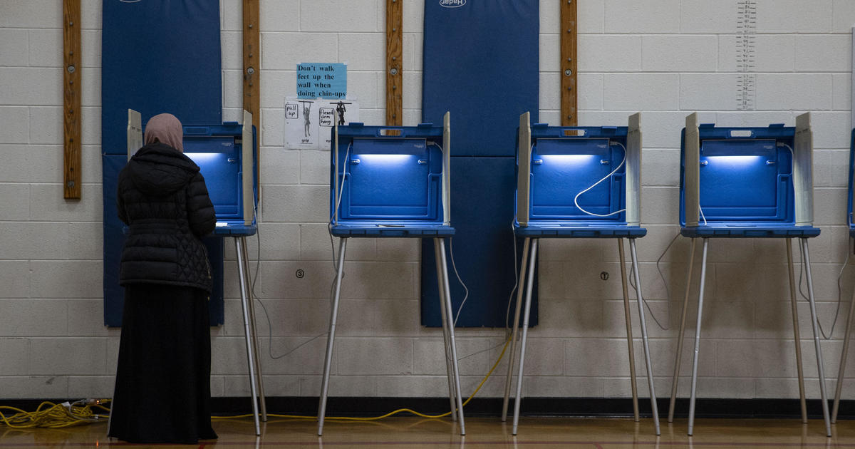 How many people voted in the 2024 Michigan primary? Here's voter