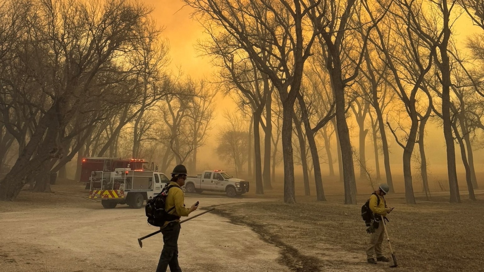 Disaster Declaration Issued As Texas Battles Devastating Wildfires Patabook News