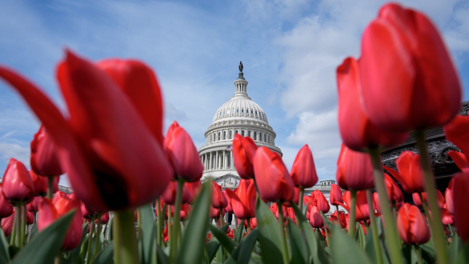 First day of spring 2024 What to know about this season's equinox