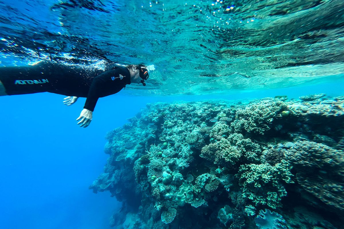 Australia's Great Barrier Reef suffers most severe coral bleaching ever ...
