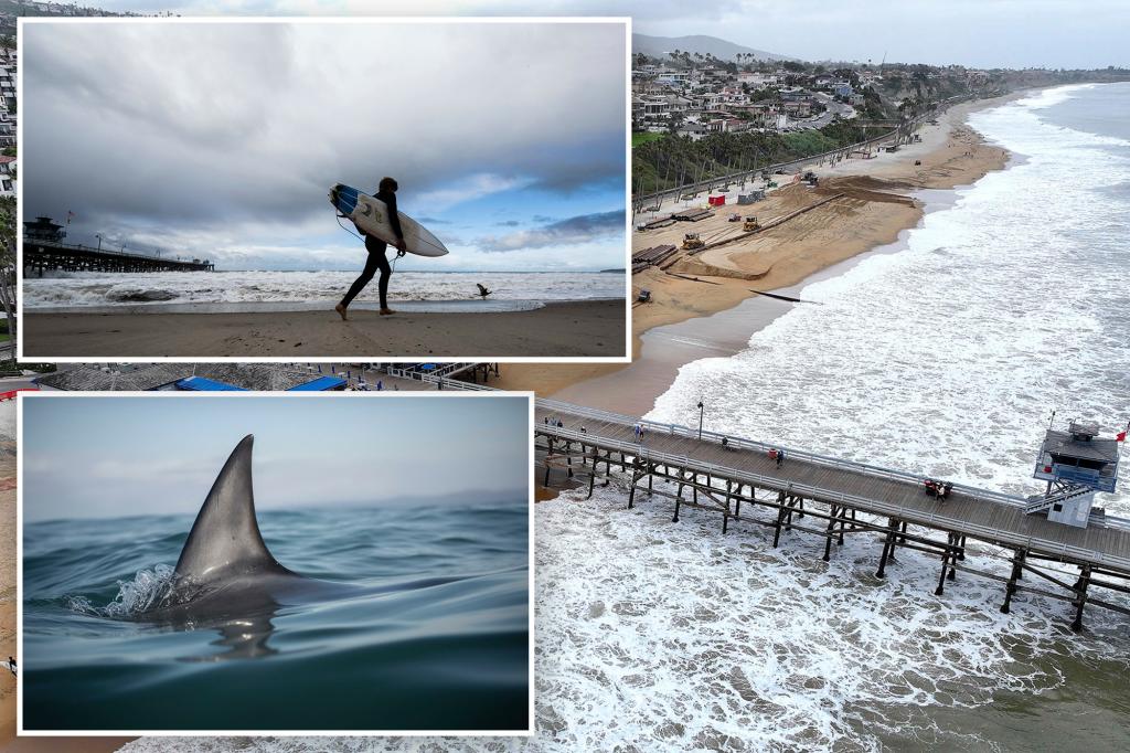 Popular Cali beach closed for Memorial Day after shark bumped surfer