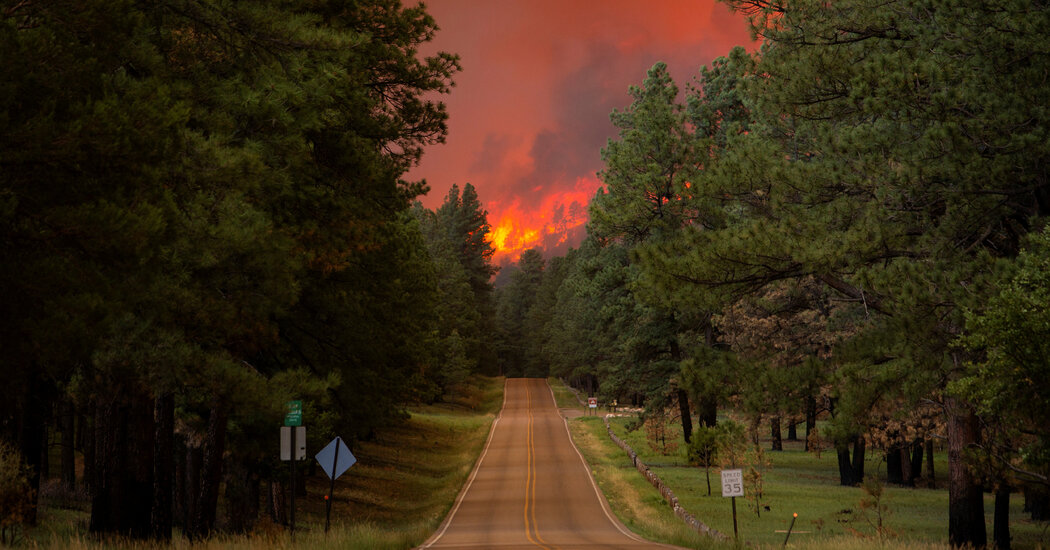 2 Are Killed in ‘Devastating’ New Mexico Wildfires Patabook News