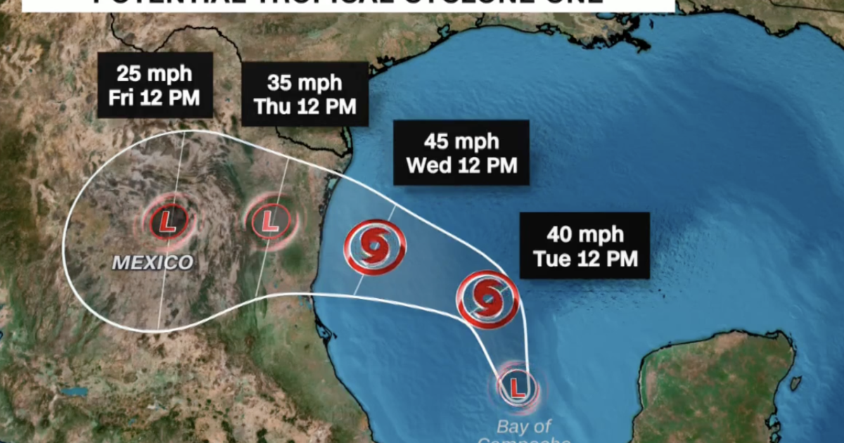 Houston Tropical Storm June 2024 Kirby Merrily