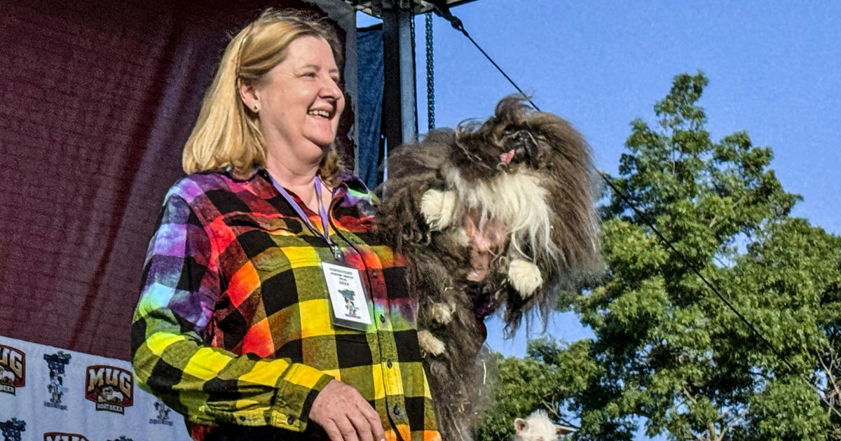 Wild Thang wins world's ugliest dog contest in Petaluma Patabook News